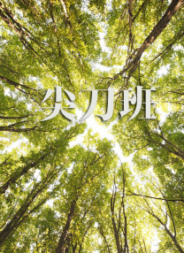 豆花影视